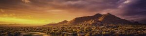 Scottsdale Arizona Personal Injury Lawyer